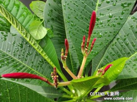 華為nova 3i評測：顏值高，拍照好的手機在這里!