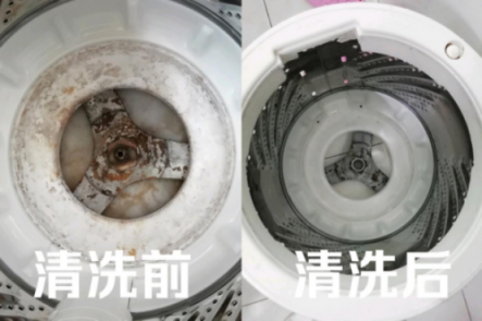 皮膚病是這么來的！洗衣機(jī)五年暗藏污垢1公斤