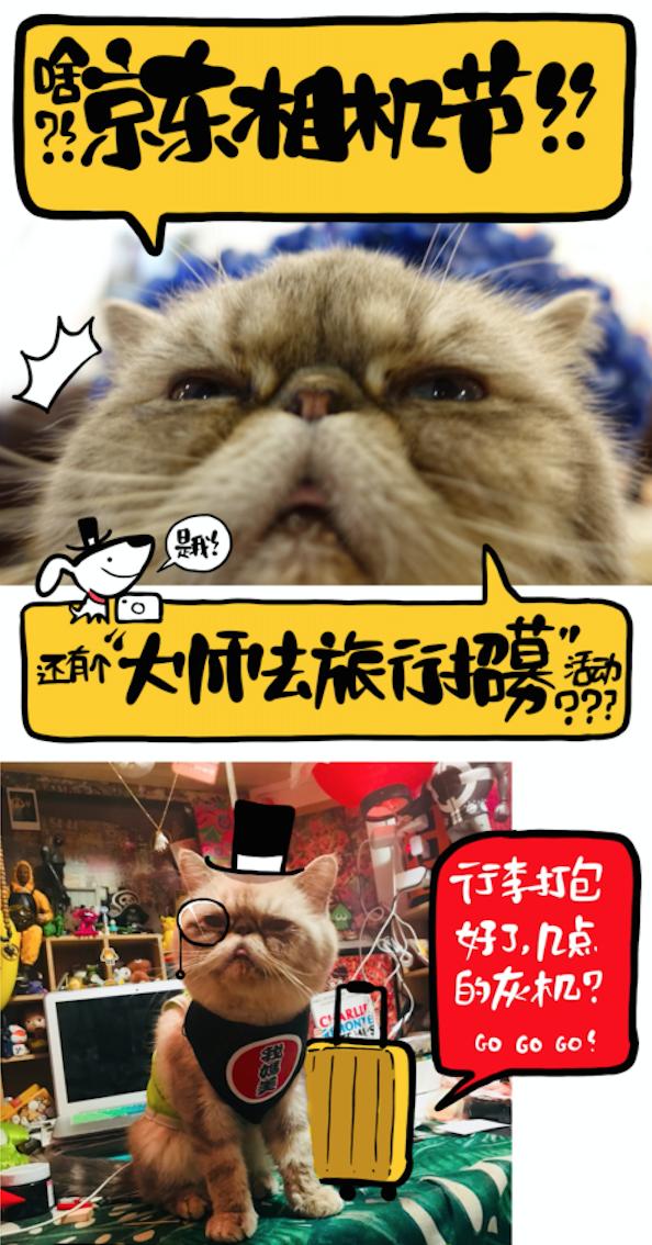 京東相機(jī)節(jié)“大師帶你去旅行”活動(dòng)到底多誘人？貓咪都嚷著參加