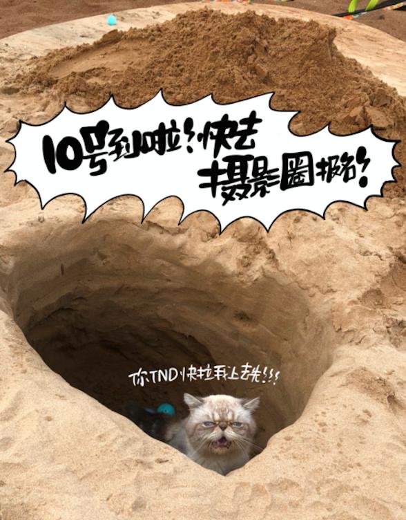 京東相機(jī)節(jié)“大師帶你去旅行”活動(dòng)到底多誘人？貓咪都嚷著參加