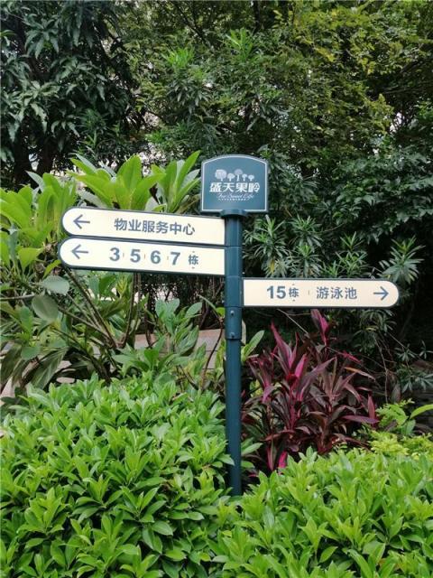 AI智能全方位助陣，拍照還會(huì)智能構(gòu)圖，充滿智慧的麥芒7上手體驗(yàn)