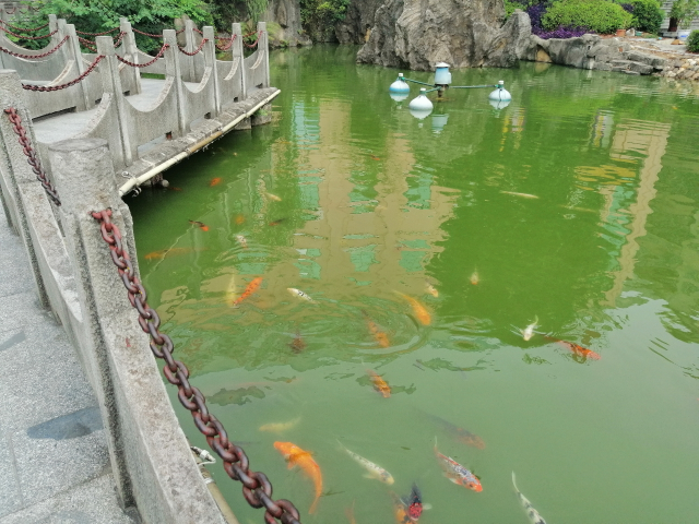 顏值與性能并存，還有AI四攝，華為麥芒7來(lái)了