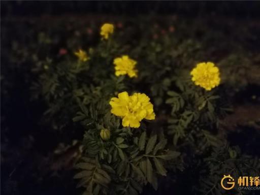 AI加持到底能帶來(lái)什么？ 華為麥芒7評(píng)測(cè)