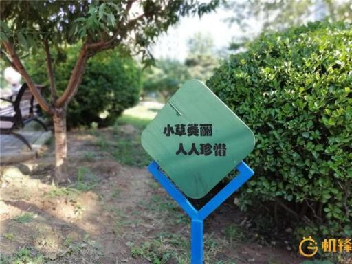 AI加持到底能帶來(lái)什么？ 華為麥芒7評(píng)測(cè)