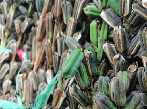 AI前后四攝、華為麥芒7上手體驗(yàn)，你想知道的有這些