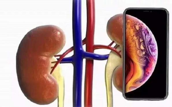 新國民旗艦聯(lián)想Z5憑什么吊打iPhone XR，這一點(diǎn)千萬不能忘
