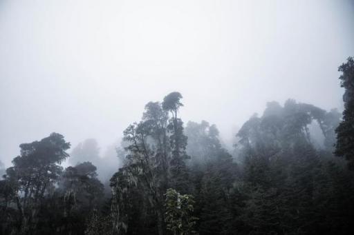 波濤？山路？風雨兼程，麥芒無懼挑戰(zhàn)