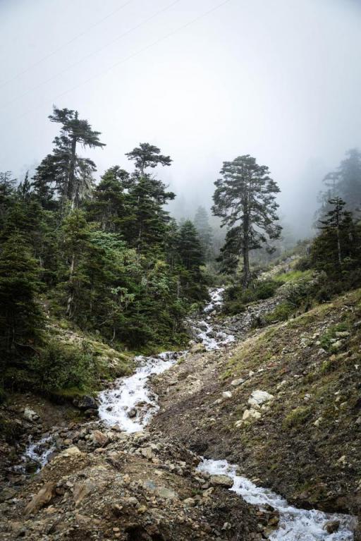 波濤？山路？風雨兼程，麥芒無懼挑戰(zhàn)