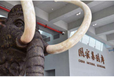 民盟盟員：將深圳南山建設(shè)成全球生物智能科技創(chuàng)新中心