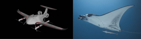 世界人工智能大會(huì)，順豐無人機(jī)Manta Ray真機(jī)首度曝光