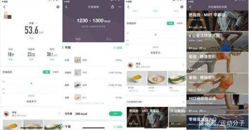 Keep 體脂秤肉身評測：顏值在線，體脂率等數(shù)據(jù)是否精準？