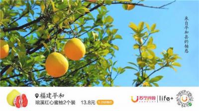 蘇寧928超級拼購日，蜜柚單日銷量突破30萬單