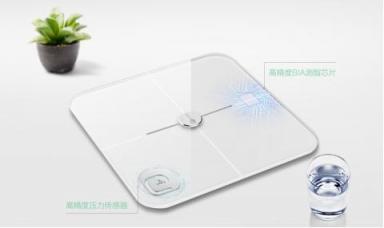 測的參數(shù)越多越好嗎？聯(lián)想體脂秤對比小米/榮耀體脂秤