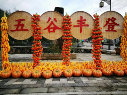 首屆農(nóng)民豐收節(jié)，前沿農(nóng)業(yè)科技成為大亮點