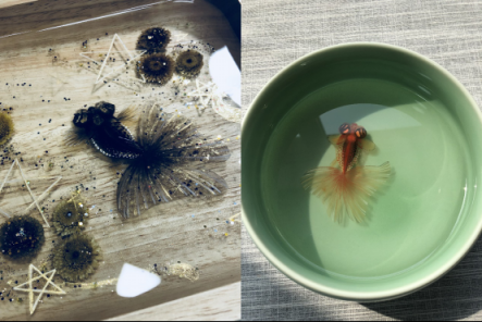 「摩點(diǎn)·云養(yǎng)計(jì)劃」創(chuàng)作者陣營(yíng)再添大神，牧洋T水彩課程正式上線