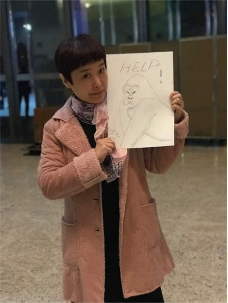 盧旺達大使館聯(lián)合侶行、西瓜視頻舉辦“盧旺達山地大猩猩畫展”