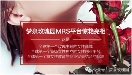 3個(gè)月粉絲百萬(wàn)，夢(mèng)泉玫瑰園MRS商城成社交電商黑馬