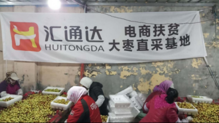 采購量50萬斤起，匯通達山東大棗農(nóng)產(chǎn)品上行單位以縣計