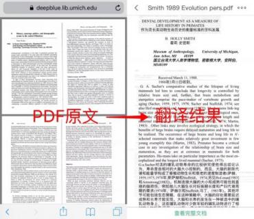 彩云小譯：中日英三語(yǔ)在線(xiàn)文檔翻譯，為外語(yǔ)專(zhuān)業(yè)學(xué)生提供“神助攻”