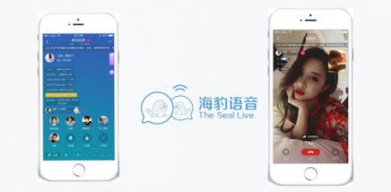 海豹聊天：社交直播產(chǎn)業(yè)的發(fā)展要瞄準95后、00后的需求
