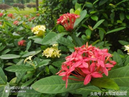 兼顧設(shè)計(jì)與拍照，魅族Note8、X8媒體口碑炸裂