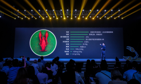 互聯(lián)網(wǎng)公司雙十一員工減壓出新招，網(wǎng)易“豬場”變“鵝廠”？