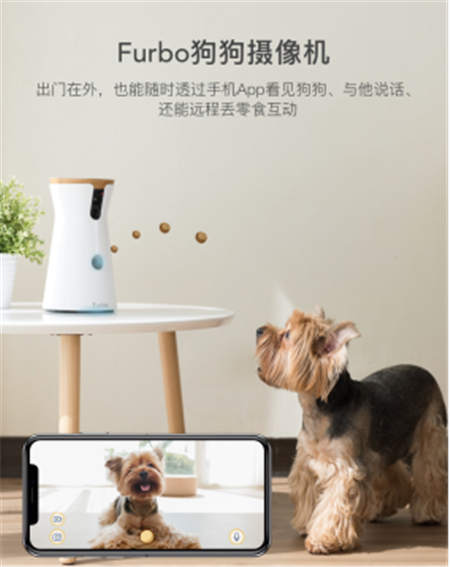 北美暢銷的養(yǎng)狗神器Furbo正式入駐國內(nèi)，開啟智能養(yǎng)寵新時(shí)代