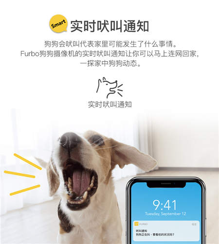 北美暢銷的養(yǎng)狗神器Furbo正式入駐國內(nèi)，開啟智能養(yǎng)寵新時(shí)代