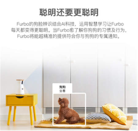 北美暢銷的養(yǎng)狗神器Furbo正式入駐國內(nèi)，開啟智能養(yǎng)寵新時(shí)代