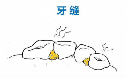 沖牙器是否值得購買？看了這篇沖牙器排行榜就會知道！