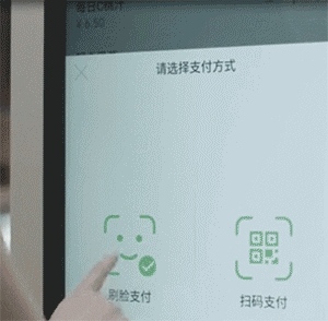 二維碼支付即將被淘汰，刷臉時代來臨，刷臉支付，就用花臉！