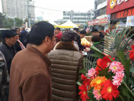 “家電+家居”， 看蘇寧零售云如何助力縣鎮(zhèn)家居行業(yè)破局