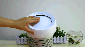 24縱向風(fēng)向.gif