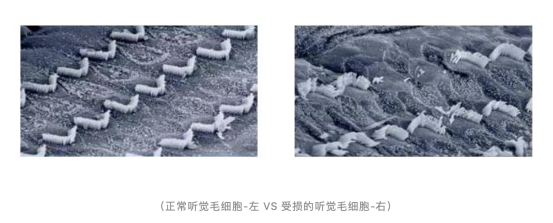 為了用戶的健康，F(xiàn)IIL有話要講