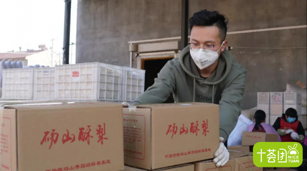 十薈團保障供應(yīng)愛心助農(nóng) 64000斤碭山酥梨馳援武漢抗疫一線