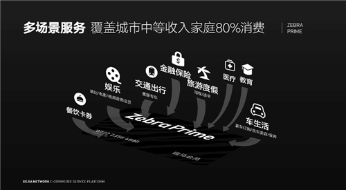 斑馬會員押注“疫后消費”，會員制電商能否抓住增長高點？