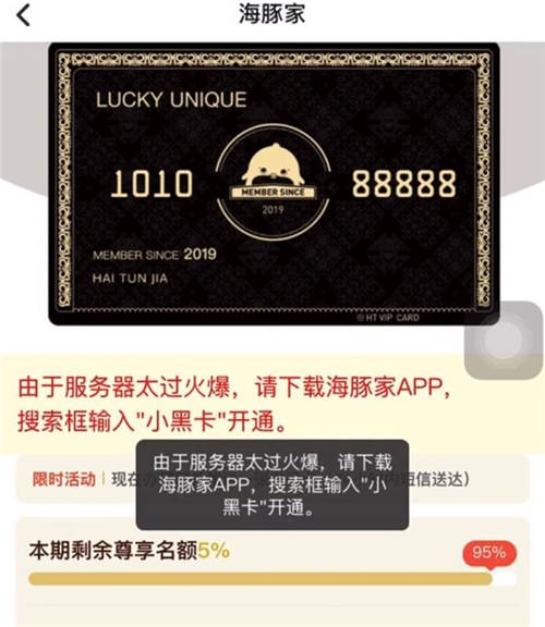 品牌C位計劃推出，首創(chuàng)海豚家小黑卡吸睛亮相