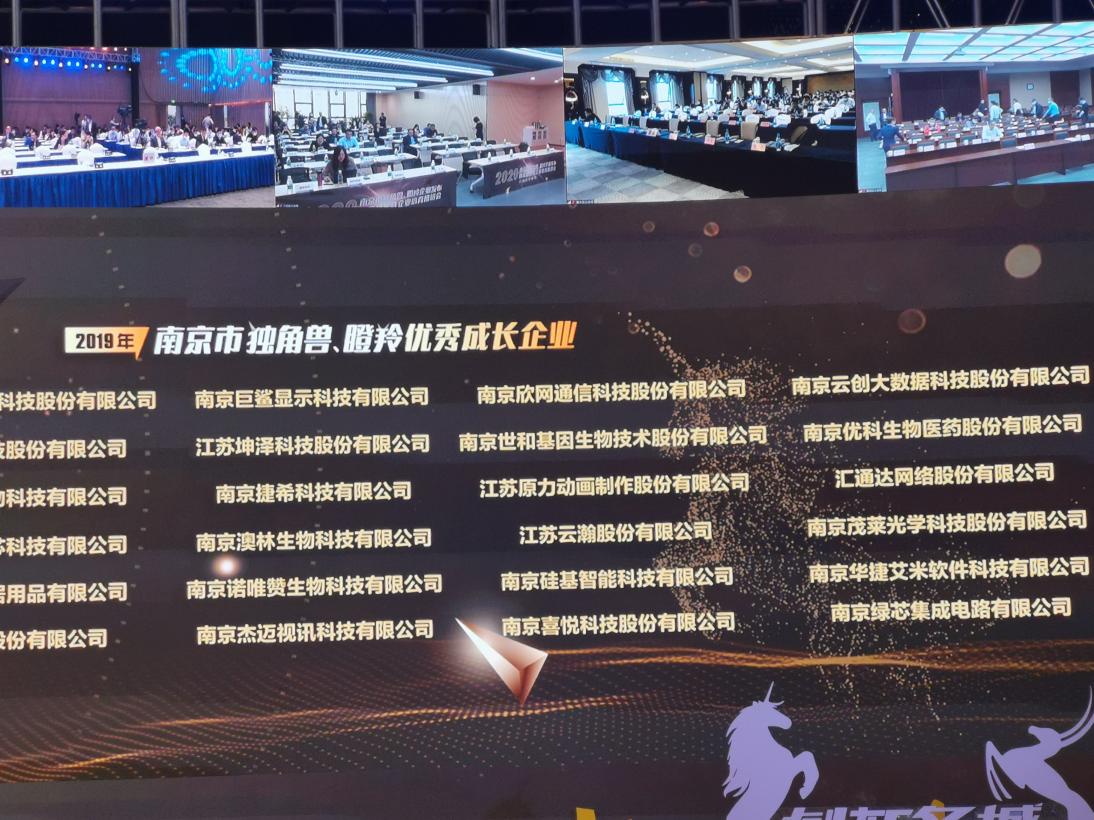 喜訊！云創(chuàng)大數(shù)據(jù)膺選“2019年南京市獨(dú)角獸瞪羚優(yōu)秀企業(yè)”！
