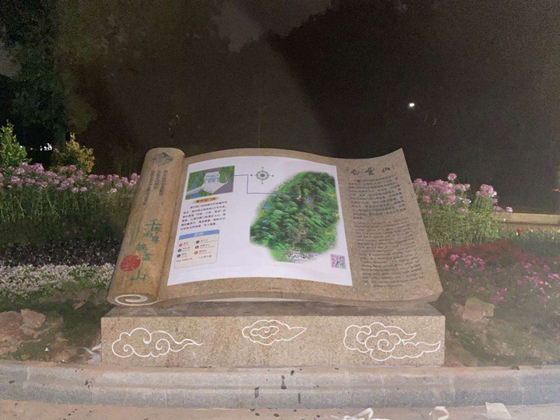 旅游消費市場逐步復蘇，驢跡科技業(yè)績亮眼