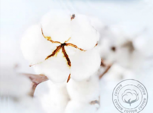 新品麗麗貝爾Lily Bell一次性純棉洗臉巾火爆來襲，高品質，更安心