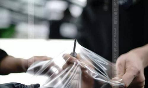 白車更需XPEL漆面保護(hù)膜 知道這三點(diǎn)很重要