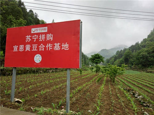 從兩會(huì)熱議“鄉(xiāng)村振興”看電商頭部企業(yè)如何行動(dòng)
