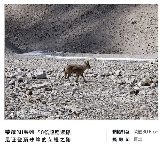 高人為峰，中國登山隊沖頂成功，榮耀30系列50倍長焦見證珠峰新高度