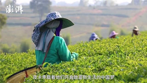 致力打贏脫貧攻堅(jiān)戰(zhàn)，長城皮卡攜手澎湃新聞啟動“物產(chǎn)中國”