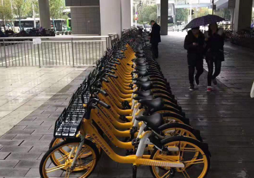斗米奮斗故事之：金牌督導(dǎo)告訴你，選擇適合的工作運氣一定不差