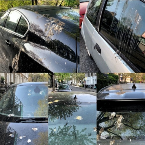 福特中國工程師多方測試福特車漆竟都光亮如新？