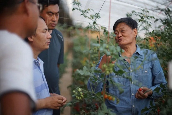 中和農信：管種管收管賣，讓種植戶“省點心”