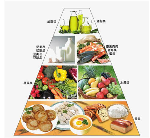 驚呆了！這款TCL C5智屏冰箱竟然還能當營養(yǎng)師