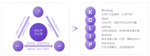 2020 KOL營(yíng)銷洞察報(bào)告：可立普模式能否成為KOL營(yíng)銷神器？