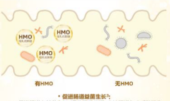 合生元HMO配方奶粉三大強(qiáng)化配方組合，建造更穩(wěn)定的成長(zhǎng)壁壘